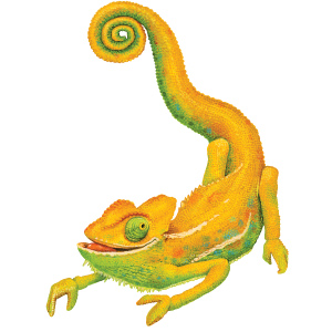 Golden Chameleon Illustration